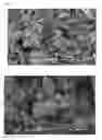 Fig. 02 - Process for bacterially devulcanizing sulphur-vulcanized rubber particles