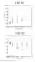 Fig. 02 - NON-ORIENTED ELECTRICAL STEEL SHEET AND MANUFACTURING METHOD THEREOF