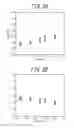 Fig. 03 - NON-ORIENTED ELECTRICAL STEEL SHEET AND MANUFACTURING METHOD THEREOF