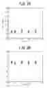 Fig. 04 - NON-ORIENTED ELECTRICAL STEEL SHEET AND MANUFACTURING METHOD THEREOF