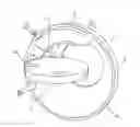 Fig. 01 - Rotary piston and cylinder device