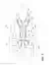 Fig. 03 - Turbine rear frame for a turbine engine