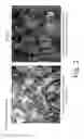 Fig. 03 - Cylinder liner and method of forming the same