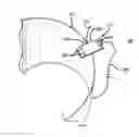 Fig. 01 - Structural Propellant for ion rockets (SPIR)