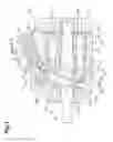 Fig. 02 - VARIABLE CAPACITY PISTON PUMP