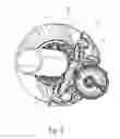 Fig. 04 - Axle Flange and Brake Carrier