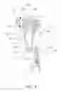 Fig. 03 - Hydraulic power transmission device