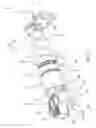 Fig. 03 - Damping device for window covering