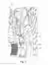 Fig. 03 - Torque converter drive assembly including bias spring and axially movable turbine