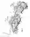 Fig. 03 - Hydraulic actuating device for actuation of setting elements in a motor vehicle transmission