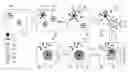 Fig. 01 - Silica coated quantum dots with improved quantum efficiency