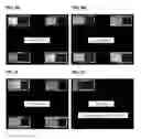 Fig. 10 - DETECTION OF GAS-PHASE ANALYTES USING LIQUID CRYSTALS