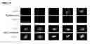 Fig. 23 - DETECTION OF GAS-PHASE ANALYTES USING LIQUID CRYSTALS
