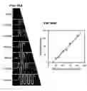 Fig. 28 - DETECTION OF GAS-PHASE ANALYTES USING LIQUID CRYSTALS