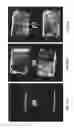 Fig. 29 - DETECTION OF GAS-PHASE ANALYTES USING LIQUID CRYSTALS