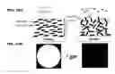 Fig. 35 - DETECTION OF GAS-PHASE ANALYTES USING LIQUID CRYSTALS