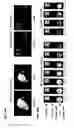 Fig. 52 - DETECTION OF GAS-PHASE ANALYTES USING LIQUID CRYSTALS