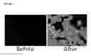Fig. 62 - DETECTION OF GAS-PHASE ANALYTES USING LIQUID CRYSTALS