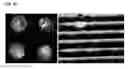 Fig. 65 - DETECTION OF GAS-PHASE ANALYTES USING LIQUID CRYSTALS