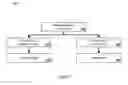 Fig. 05 - Collecting and organizing online resources