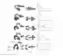 Fig. 01 - Method for gestational age estimation and embryonic mutant detection