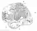 Fig. 01 - Medical image processing apparatus and analysis region setting method of texture analysis