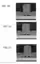 Fig. 06 - Devices including an amorphous gas barrier layer