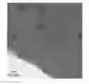 Fig. 01 - MAGNETIC MATERIAL LOADED WITH MAGNETIC ALLOY PARTICLES AND METHOD FOR PRODUCING SAID MAGNETIC MATERIAL