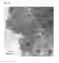 Fig. 07 - MAGNETIC MATERIAL LOADED WITH MAGNETIC ALLOY PARTICLES AND METHOD FOR PRODUCING SAID MAGNETIC MATERIAL