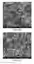 Fig. 16 - HIGH ENERGY DENSITY HYBRID PSEUDOCAPACITORS AND METHOD OF MAKING AND USING THE SAME