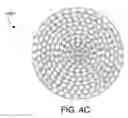 Fig. 07 - Ion to neutral control for wafer processing with dual plasma source reactor