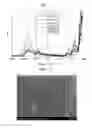 Fig. 02 - SEPARATOR FOR NONAQUEOUS ELECTROLYTE SECONDARY BATTERY