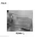 Fig. 09 - Nano-coating material, method for manufacturing same, coating agent, functional material, and method for manufacturing same