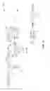 Fig. 15 - Efficient optical signal amplification systems and methods