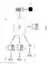 Fig. 02 - System for tracking diffusion