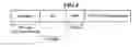 Fig. 09 - Method and apparatus for detecting packet