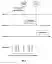 Fig. 06 - Intelligent security context aware elastic storage