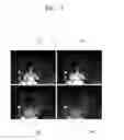 Fig. 09 - Method and apparatus for obtaining depth image by using time-of-flight sensor