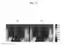 Fig. 10 - Method and apparatus for obtaining depth image by using time-of-flight sensor