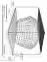 Fig. 42 - Method and Apparatus for Displaying a Still or Moving Scene in Three Dimensions