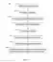 Fig. 02 - Methods and reagents for maintaining the visability of cancer cells in surgically removed tissue