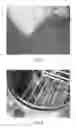 Fig. 09 - COMBINATION OF COMPONENTS COMPRISING PLANT AND PLANT MATERIAL FOR PREPARING EDIBLE PRODUCTS