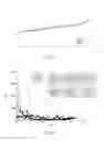 Fig. 22 - COMBINATION OF COMPONENTS COMPRISING PLANT AND PLANT MATERIAL FOR PREPARING EDIBLE PRODUCTS
