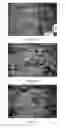 Fig. 03 - EDIBLE COATING FOR PLANT MATTER