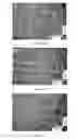 Fig. 06 - EDIBLE COATING FOR PLANT MATTER