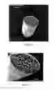 Fig. 09 - EDIBLE COATING FOR PLANT MATTER