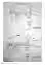 Fig. 08 - Hat ventilated through brim