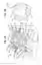 Fig. 08 - Cleats, Cleated Sole Structures, Molds and Molding Methods for In-Molding Articles