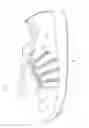 Fig. 04 - Shoe upper