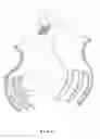 Fig. 07 - SPRINGLESS PLASTIC CLIP STRUCTURE